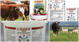 Instrucciones de uso y composición de Albena para bovinos, dosis y análogos.