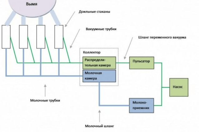 diagramma del dispositivo