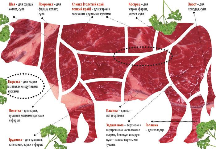 karvės kūno dalys