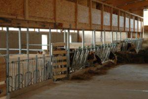 Govju 10 galvu projekts un rasējumi, kā ar savām rokām izveidot saimniecību