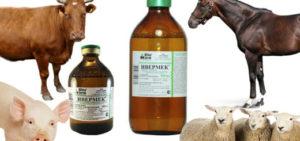 Gebrauchsanweisung von Ivermek für Tiere und Dosierung für Rinder, Analoga