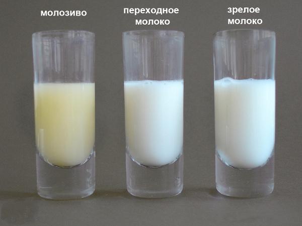 different milk