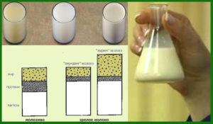 Aké sú spôsoby určenia obsahu tukov v kravskom mlieku doma