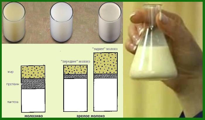 Wzór chemiczny mleka i tabela substancji w składzie na 100 gramów, temperatura