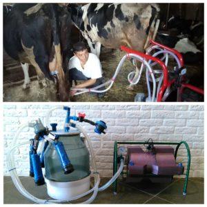 Wie man eine Kuh zu Hause mit einer Melkmaschine richtig melkt