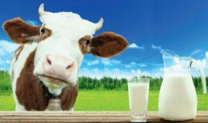 Maidon kemiallinen kaava ja koostumuksen aineiden taulukko 100 grammaa kohti, lämpötila