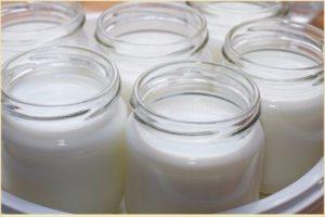 İnek sütü neden yoğurtta ekşi olmuyor, nedenleri ve ne yapmalı?