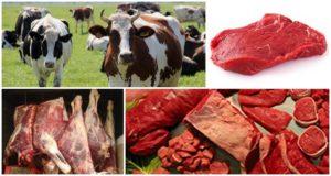Bảng năng suất của thịt bò ròng trung bình dựa trên trọng lượng sống